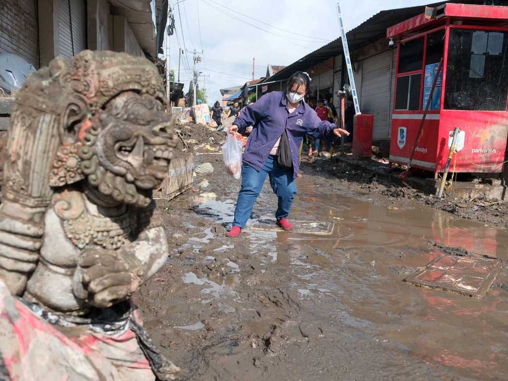 Search image article