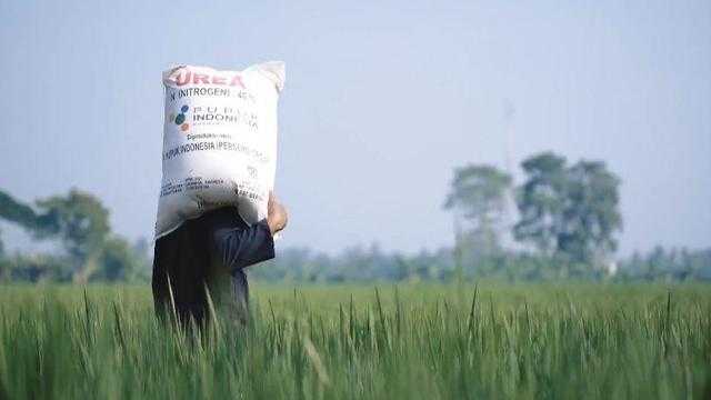 Pemerintah Turunkan HET Pupuk Subsidi: Langkah Bersejarah Dukung Petani
