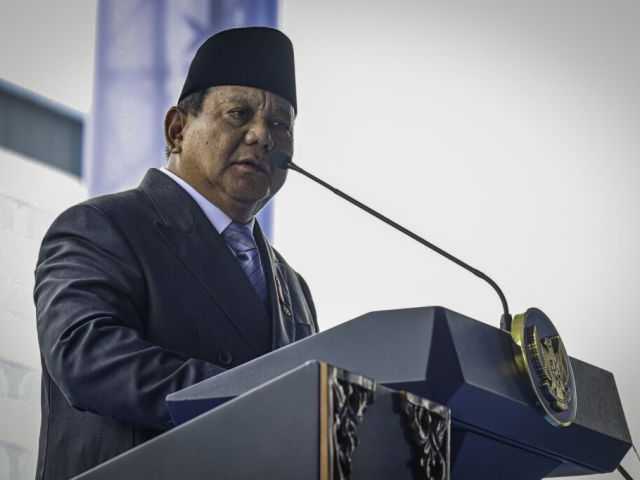 Search image article