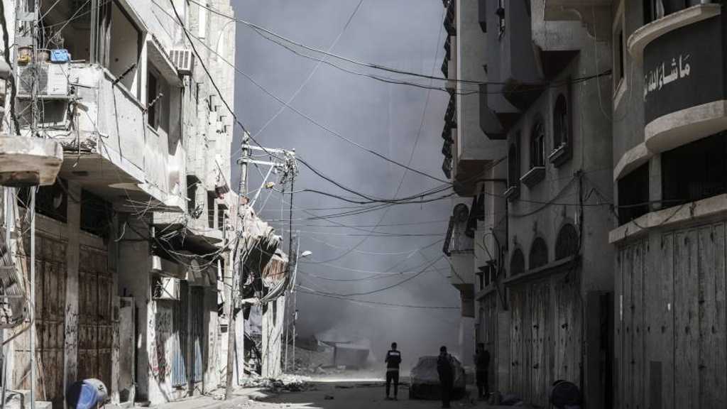 Search image article