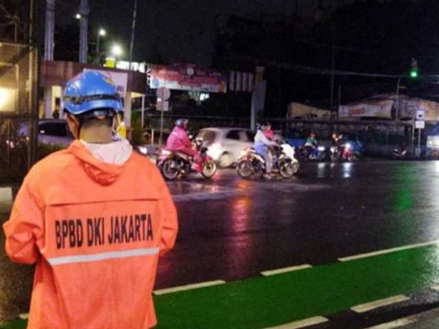 Search image article