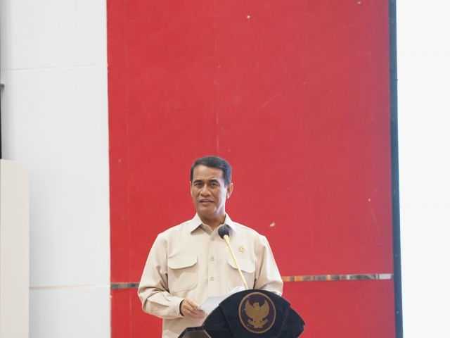 Search image article