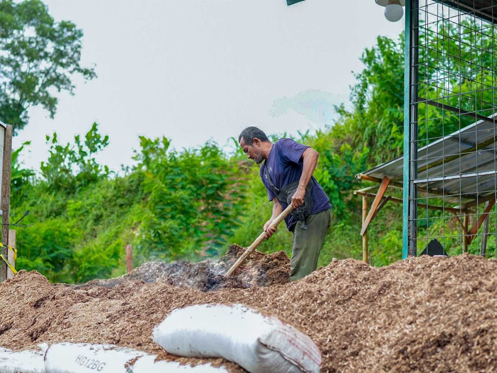 Search image article