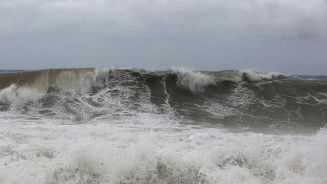 Search image article