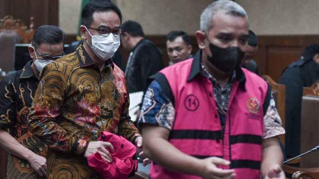 Search image article