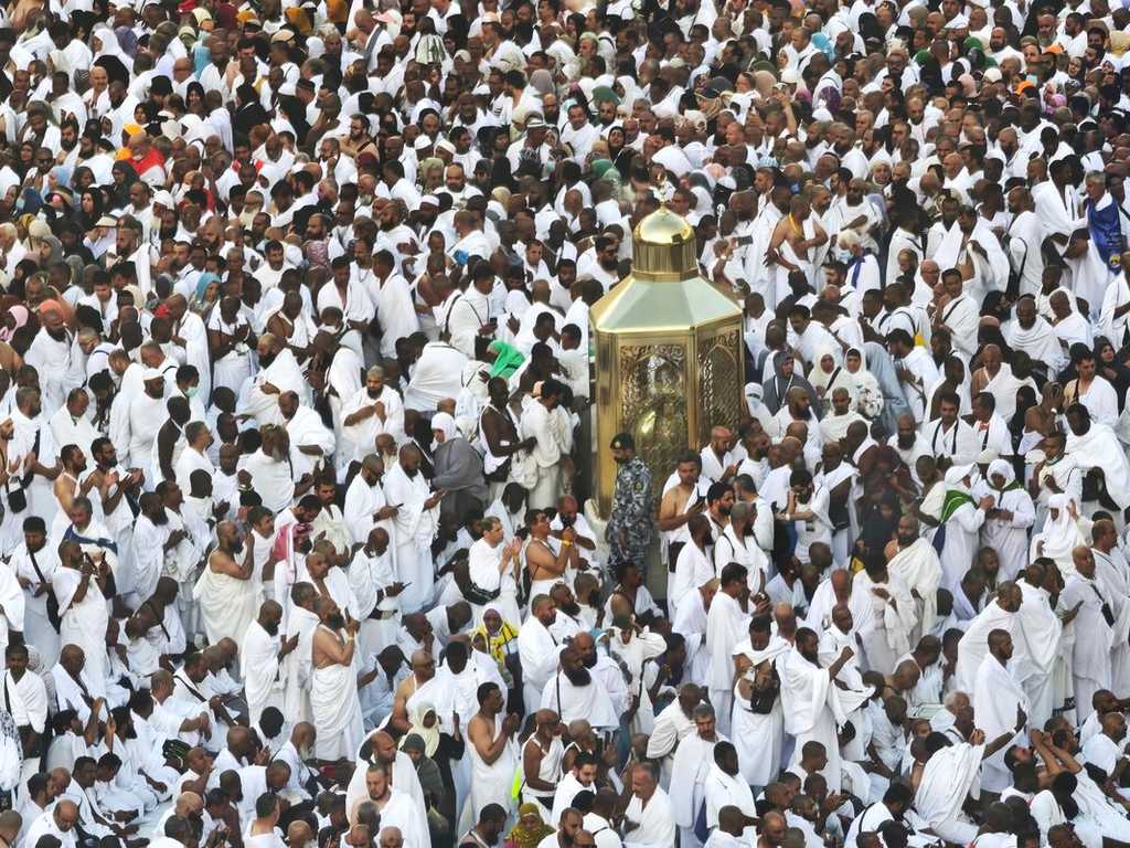 Search image article