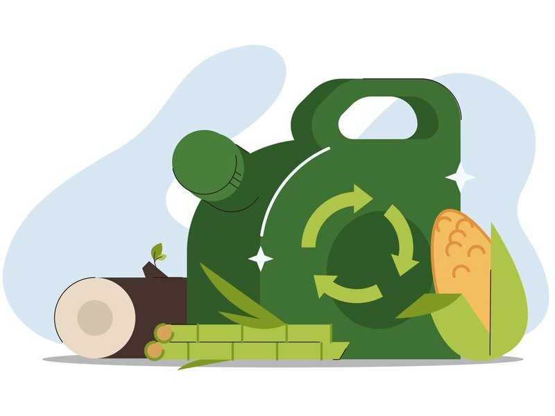 Search image article