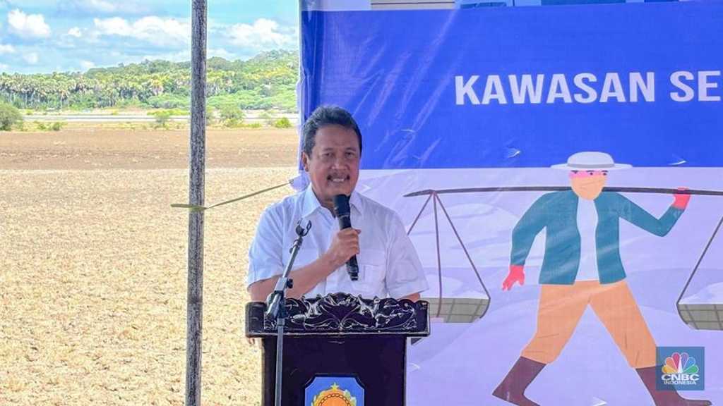 Search image article