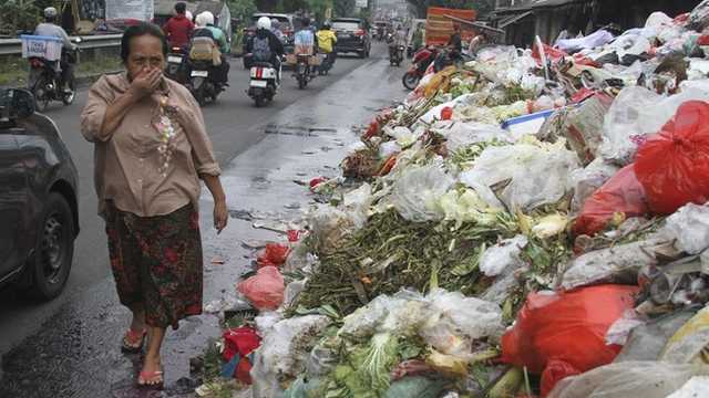 Search image article