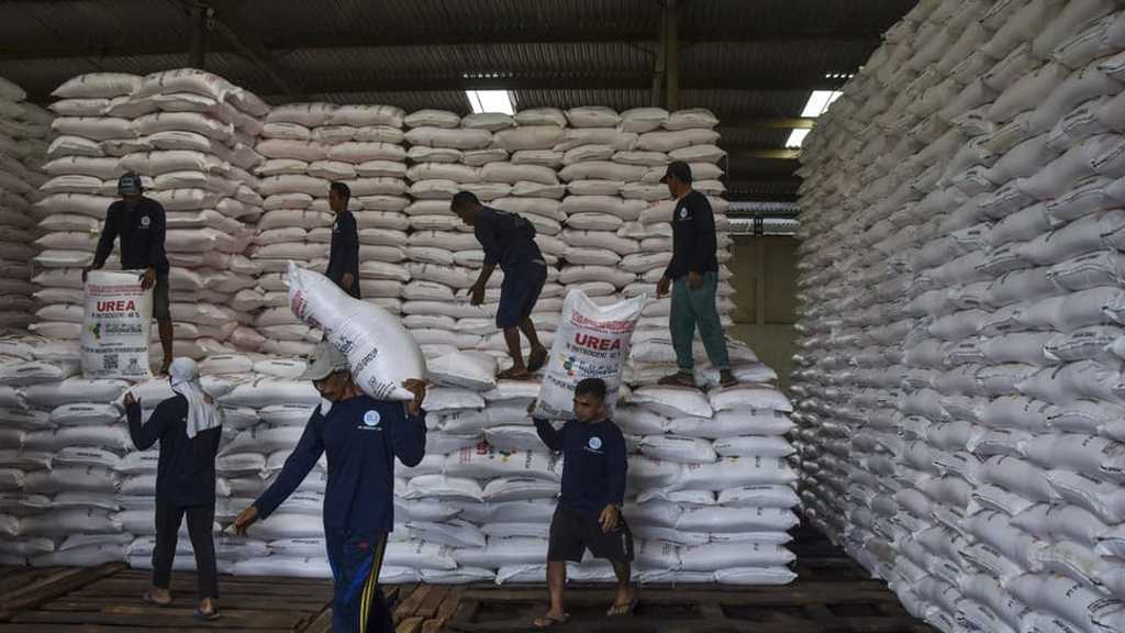 6,89 Juta Petani Belum Tebus Pupuk Subsidi, Pupuk Indonesia Jemput Bola