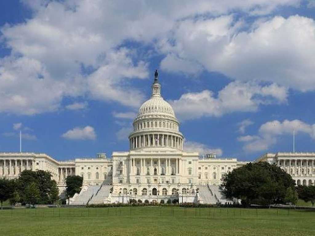 Search image article