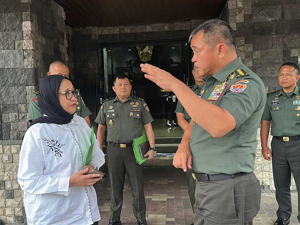 Search image article