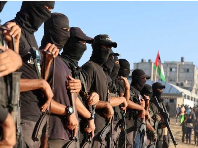 Search image article