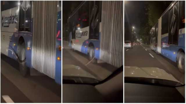 Geger! Ular Sanca Raksasa Nongol dari Busway Gandeng di Jakarta Timur, Bikin Panik