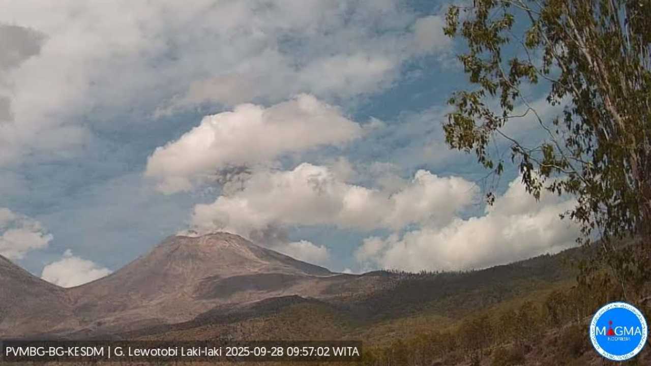 Gunung Lewotobi Laki-laki erupsi, kolom abu 1.200 meter