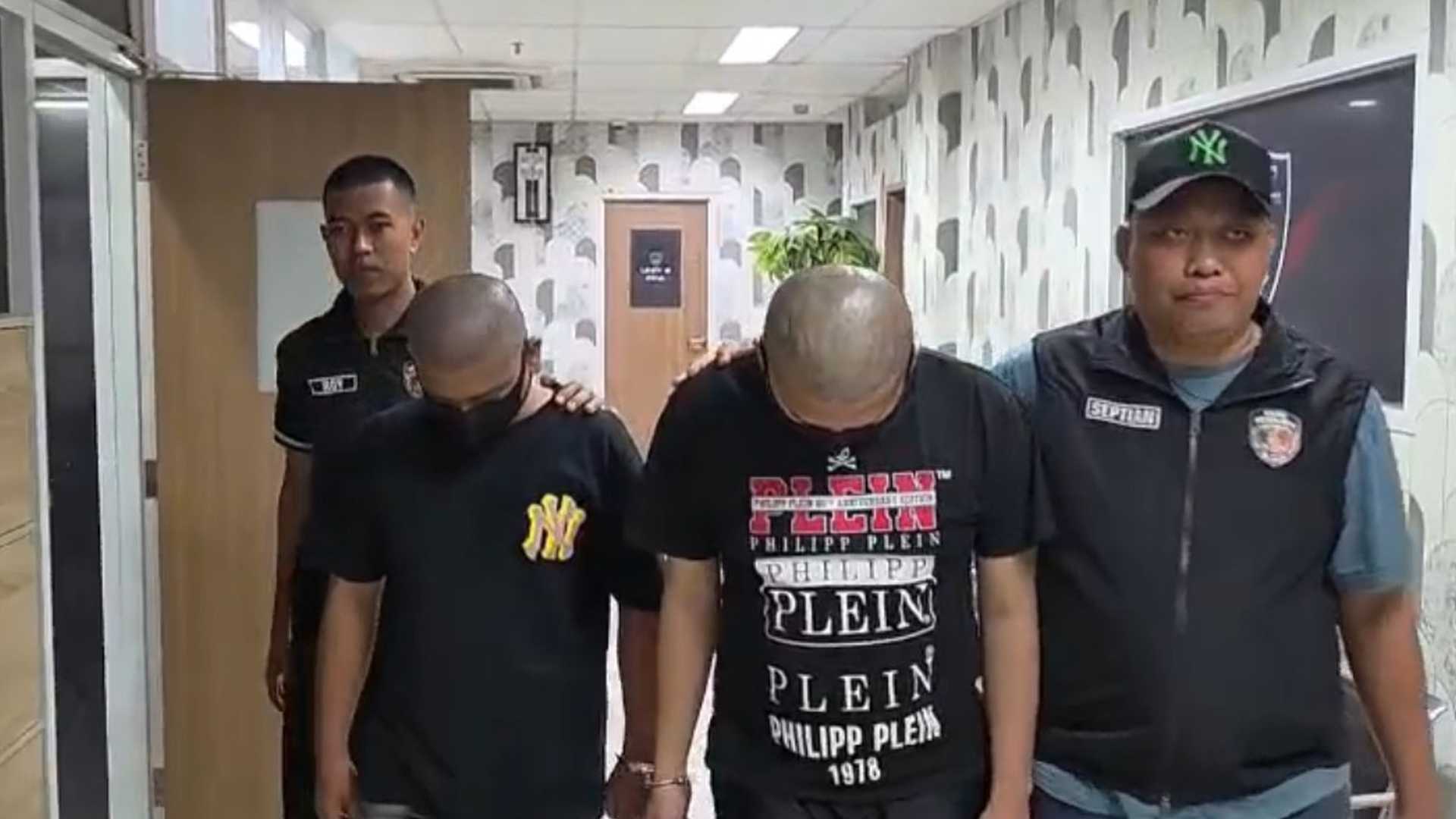 Search image article