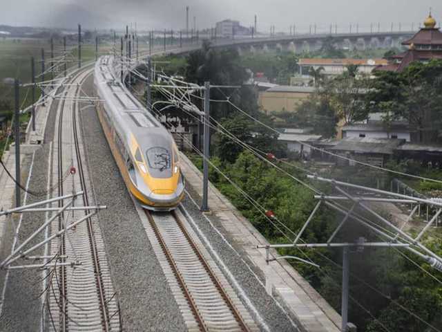 Search image article