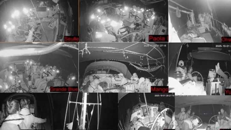 Search image article