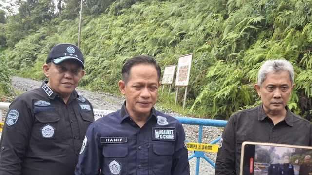 Search image article