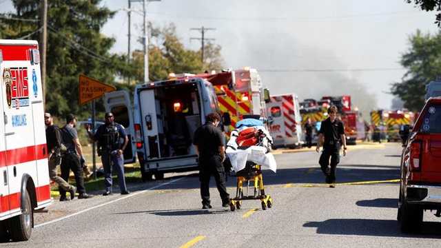 Search image article