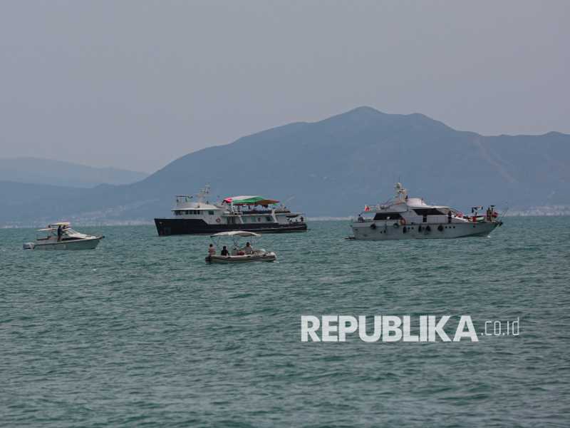 Search image article