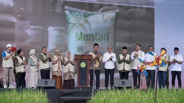 Muhammadiyah luncurkan varietas padi unggul 'Mentari'