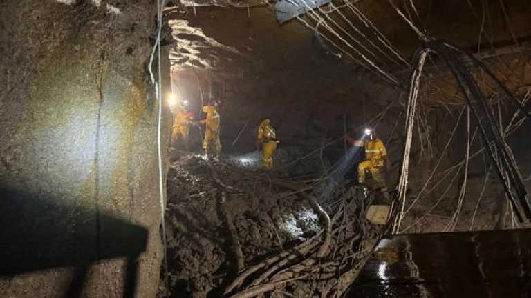 Search image article