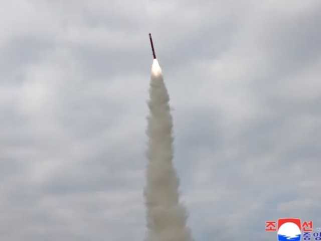 Search image article