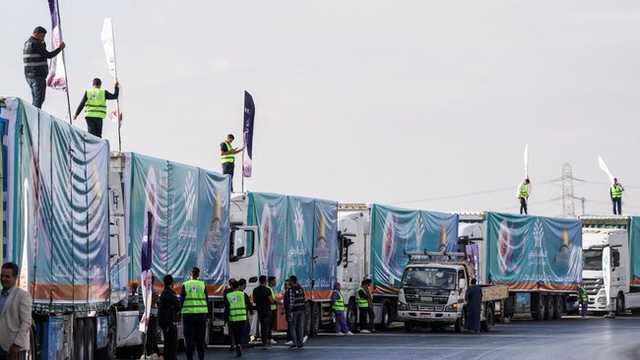 Search image article