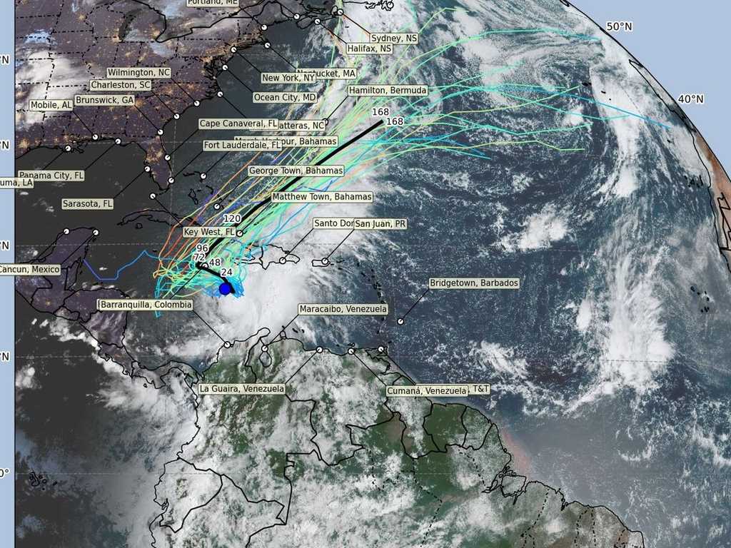 Search image article