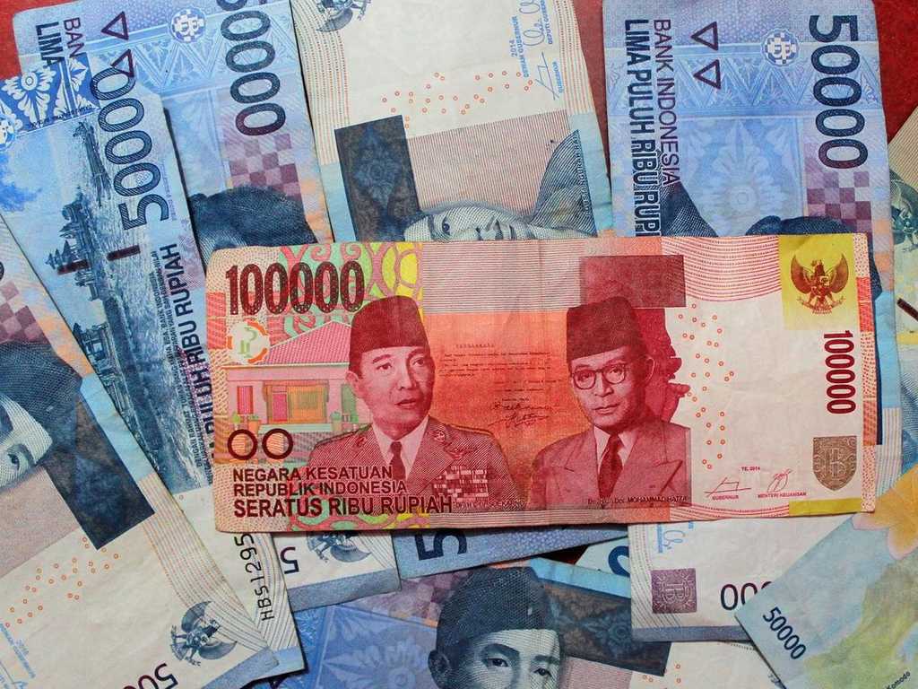 Search image article