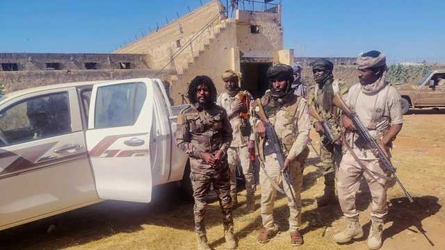 Search image article