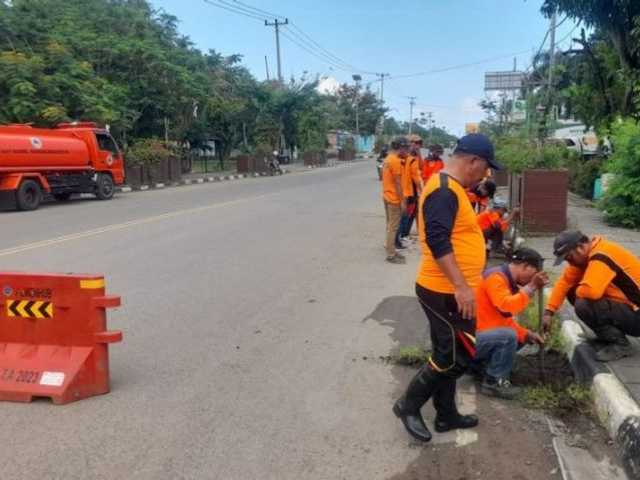 Search image article