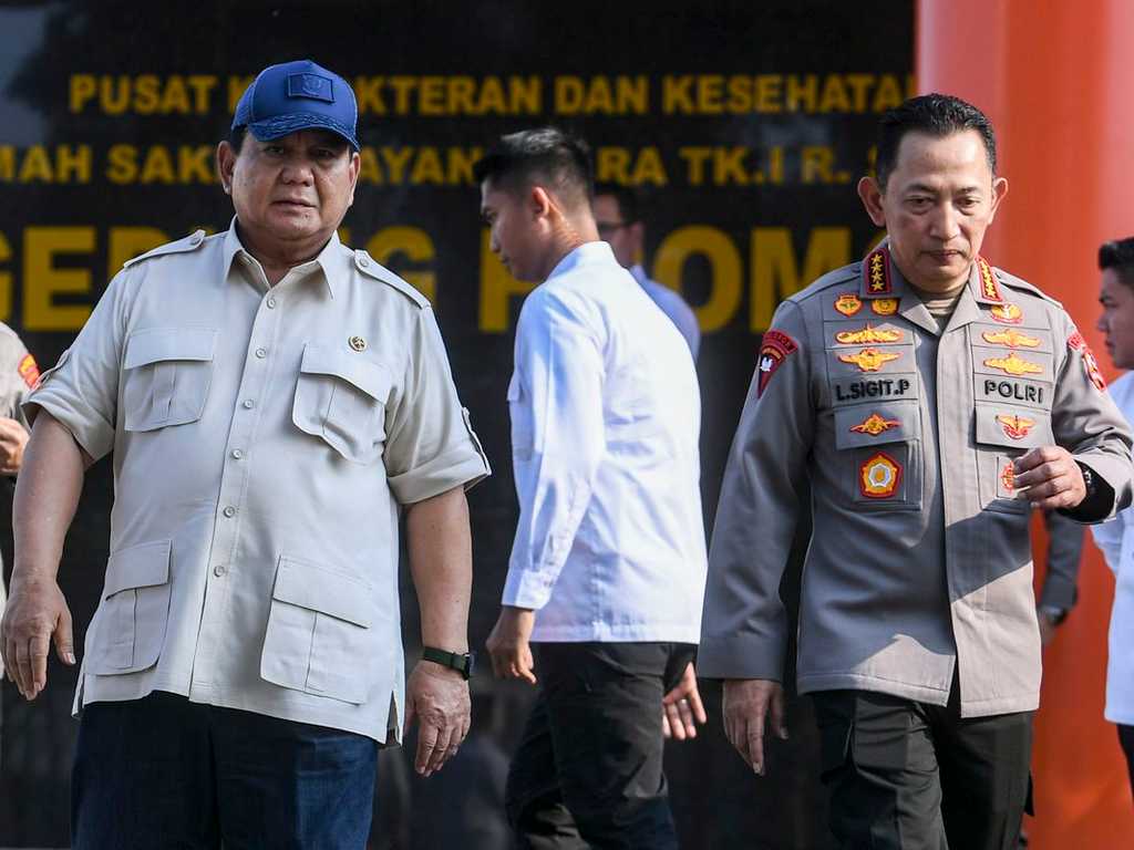 Search image article