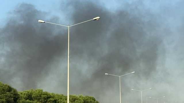 Search image article