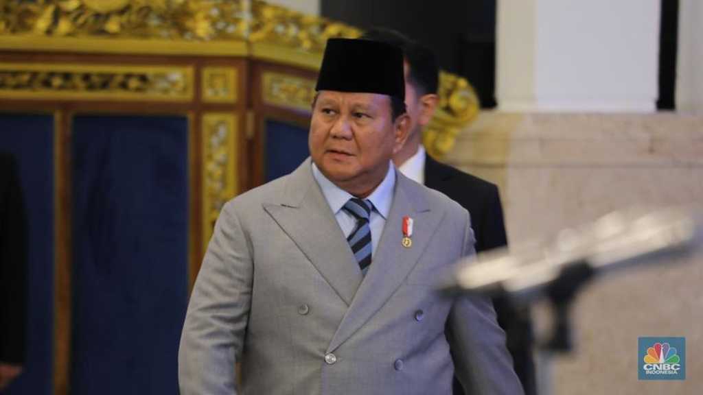 Search image article