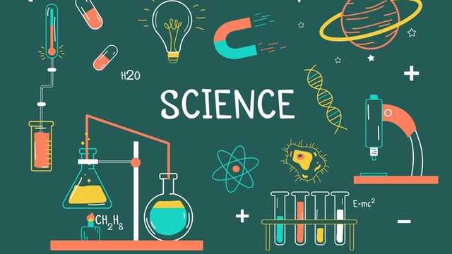 Search image article