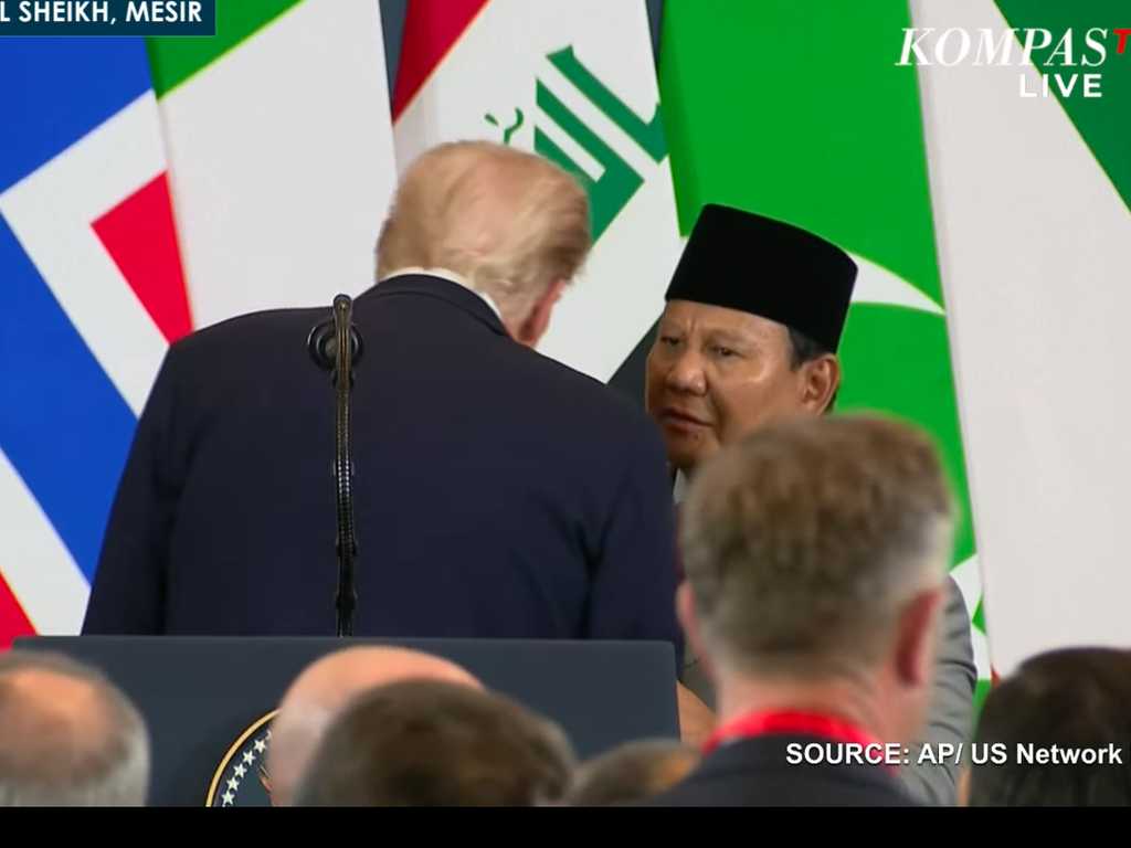 Search image article