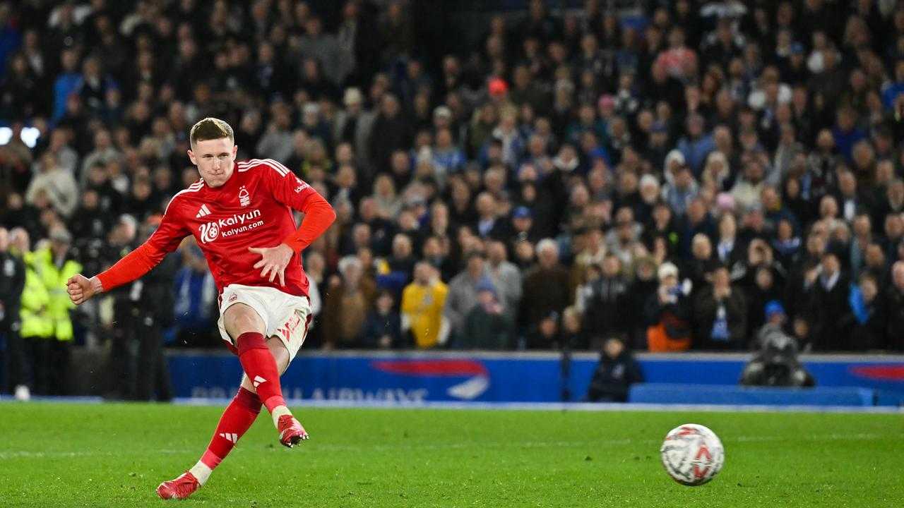 Search image article