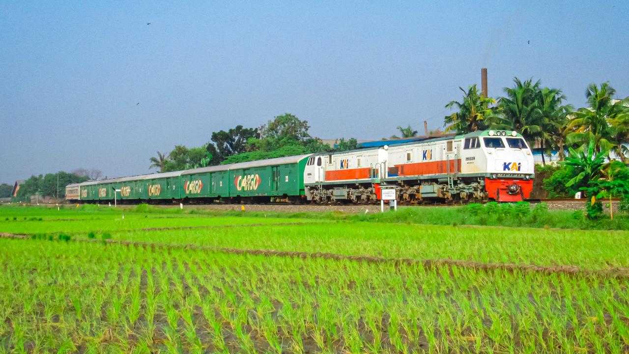 Search image article