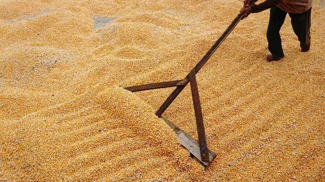 Search image article