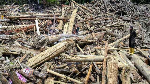 Search image article