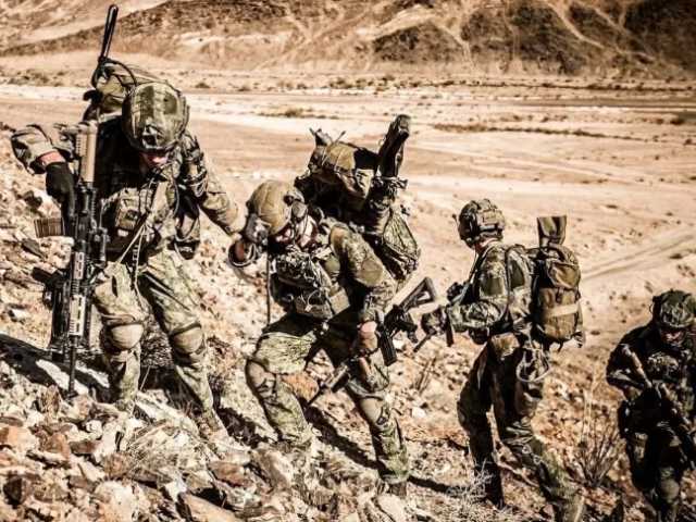 Search image article