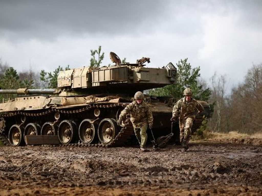 Search image article