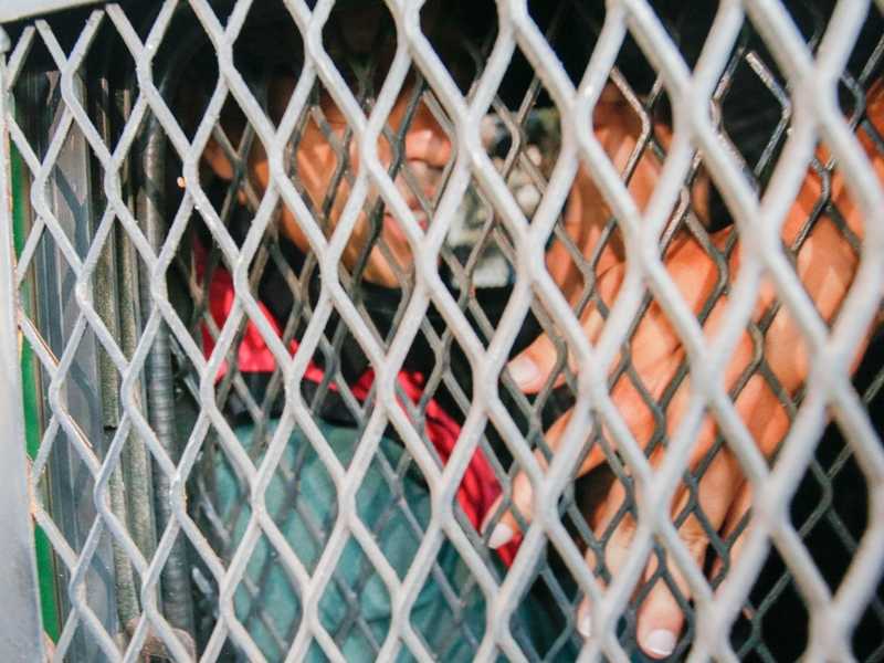 Search image article