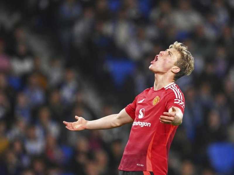 Search image article