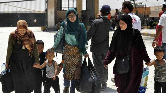 Search image article