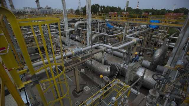 Search image article