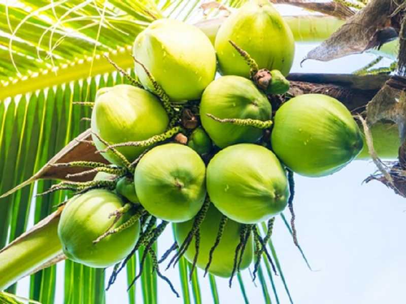 Search image article