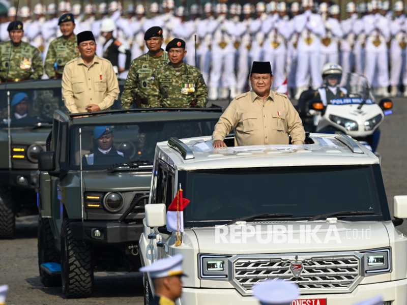 Search image article